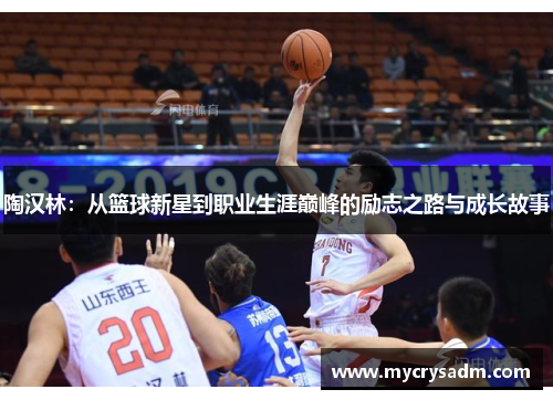 陶汉林：从篮球新星到职业生涯巅峰的励志之路与成长故事